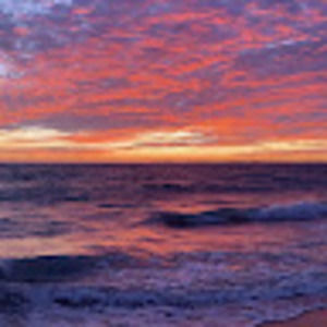 Meet your Posher, Mackinzie